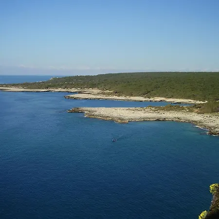 A Casa Della Nonna Uccia